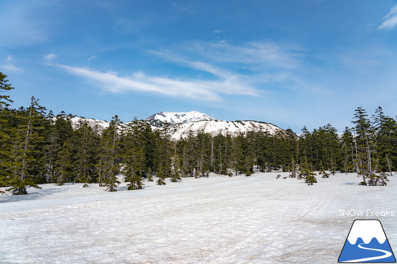 大雪山旭岳ロープウェイ｜2022-2023シーズンSNOWFreaks最終レポート。滑り納めは、北海道最高峰「旭岳」。皆様、今シーズンもありがとうございました！